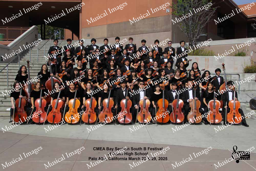 Musical Images